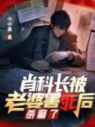 《横扫青云》肖飞金蕊全文在线阅