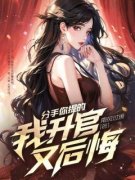 《 分手你提的，我升官又后悔》大