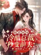《初恋回国，冷酷总裁秒变前夫》