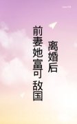 《离婚后，前妻她富可敌国》小说