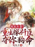 苏幼月谢渊 宠妾灭妻？重生嫁奸臣