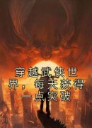 主角是穿越武侠世界，每天获得一