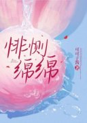 悱恻绵绵白夏晚陆行知小说全文免