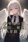 新书《少爷身份互换后，被猛A宠翻