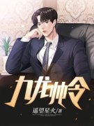 《九龙帅令》小说章节在线试读 第