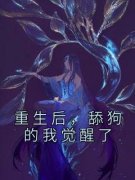 《陆斐苏沐禾》小说章节目录免费