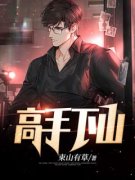 《高手下山》小说大结局精彩阅读