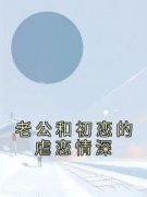 《老公和初恋的虐恋情深》枣枣邱