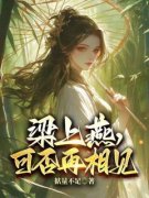 《梁上燕，可否再相见》小说全文