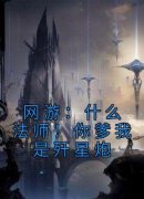 林凡叶小轩陈伟by网游：什么法师！
