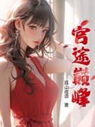 《官途巅峰》大结局精彩试读 《官