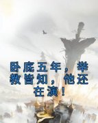 《宋易安元晴》小说免费阅读 卧底