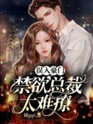 《误入豪门：禁欲总裁太难撩》小