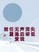 《翁颖邵驰》免费阅读 前任无声消