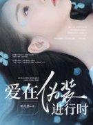 《爱在伪装进行时》小说章节列表