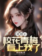 新书《离婚后，校花青梅看上我了