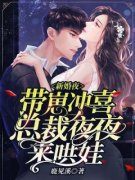 《黎初厉南爵》全文阅读 新婚夜带