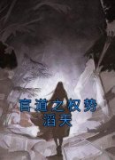 《林峰宁欣》小说全文免费阅读 官