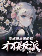 变成吸血姬的我才不是反派小说阅