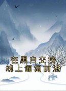 在黑白交接线上匍匐前进主角叶骄