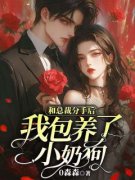 宋清清顾怀精彩章节小说免费试读