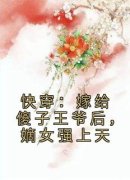 快穿：嫁给傻子王爷后，嫡女强上