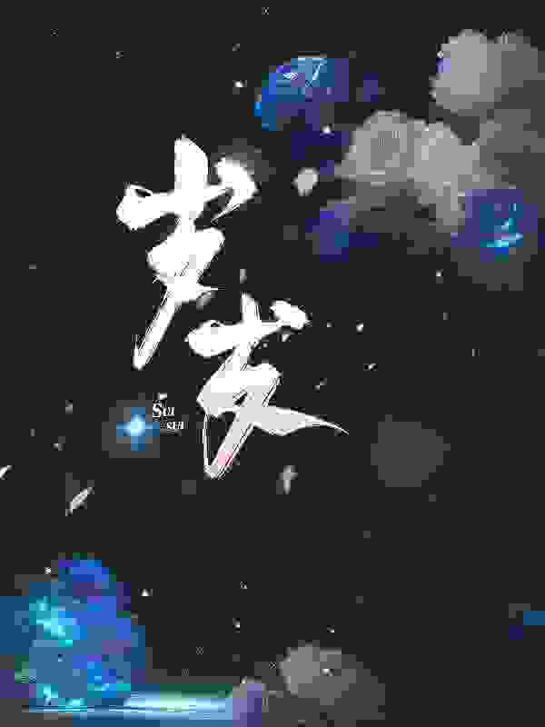沈岁周宴（岁岁）小说章节在线免费试读