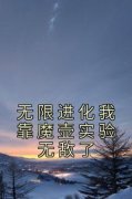 无限进化我靠魔壶实验无敌了精彩
