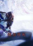 烛与月光 秦芜夏烛完结版在线阅读