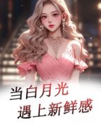 主角是当白月光遇上新鲜感的小说