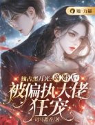 《叶梦宁傅开疆》小说在线阅读 《