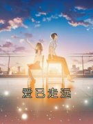 《爱已走远》阿阳简悦章节在线试