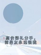 郑婉林昊小说全集免费免费试读（