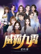 威霸九霄全文免费阅读 赵平安齐天