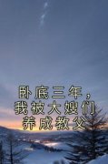 《卧底三年，我被大嫂们养成教父