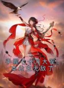 梁月梁芷柔手握七十万大军，本公