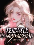 《我那堪比车祸现场的爱情》小说