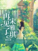《再见了，宋雅琪》小说完结版在