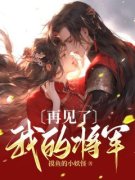 《再见了，我的将军》小说全文在