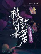 唐婉林璐小说 《被网暴致死后，我