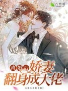 离婚后，娇妻翻身成大佬小说 离婚
