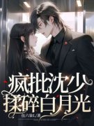 小说疯批沈少揉碎白月光艾鹿沈柏