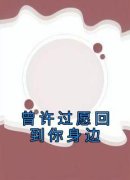 《曾许过愿回到你身边》小说精彩