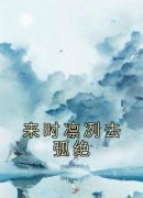 《来时凛冽去弧绝》大结局免费阅