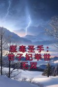 《医毒圣手：世子妃举世无双》云