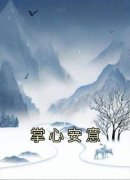 《安意贺时砚》掌心安意完结版精