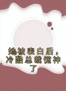 《白映苒司胤礼》大结局免费阅读