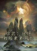 《苏玄综武》最新章节免费阅读（
