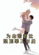 许铭沈梨完整目录在线阅读 (为未婚