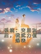 《关山月萨比四》小说主角系统：